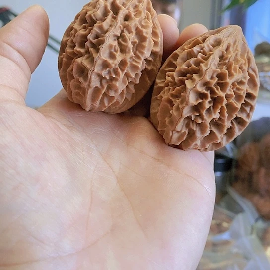 【闪购商品】把件文玩核桃41.5老鼠大肚子