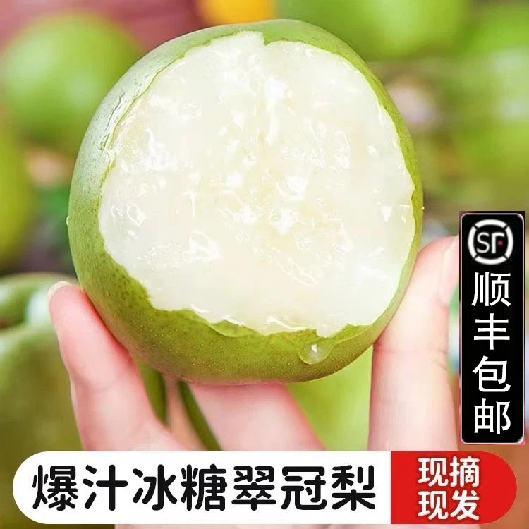 【顺丰包邮】 砀山正宗翠冠梨 脆甜多汁 皇冠梨 坏果包赔