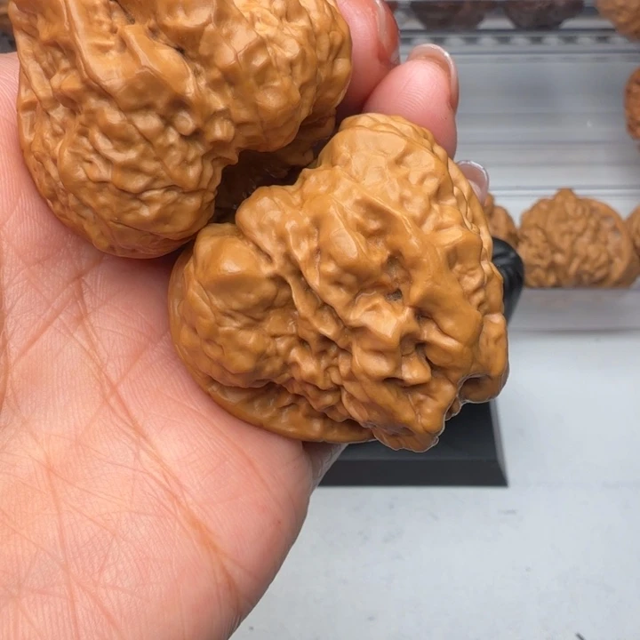 奥***丁核桃好看的娃娃呦呦呦