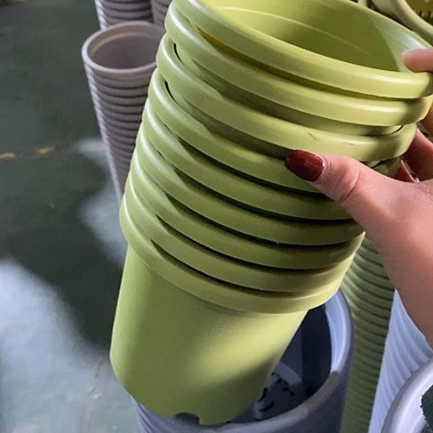 树脂口径14果绿10个无托