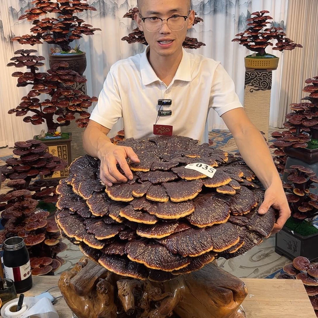 全部花朵88888888888888
