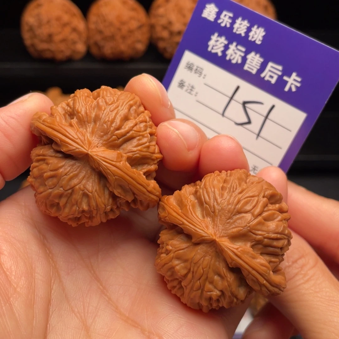 文玩核桃把件白狮子40尺