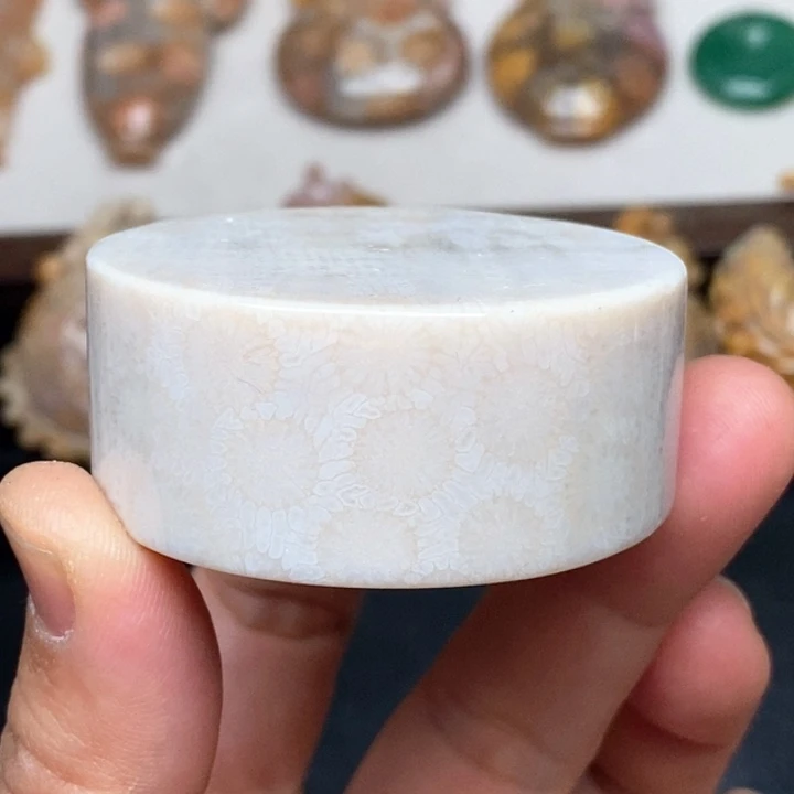 硅化珊瑚（珊瑚玉）手镯未镶嵌