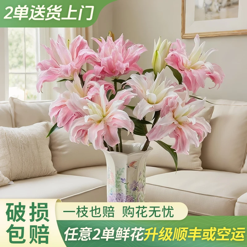 【大聪明卖花】戴安娜重瓣百合云南直发鲜花家居水养鲜花花束客厅