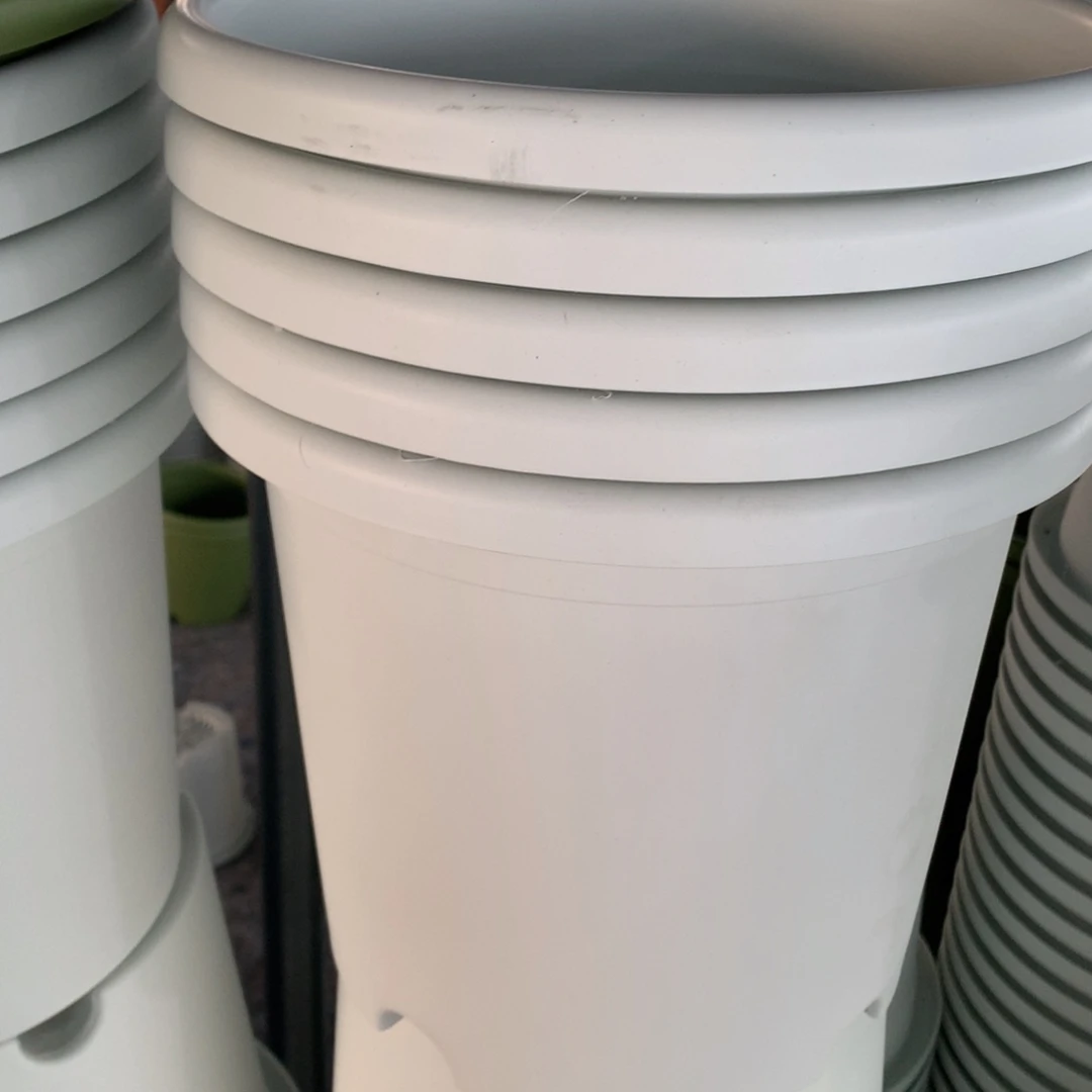 红陶芒*喂20个25口奶白无托