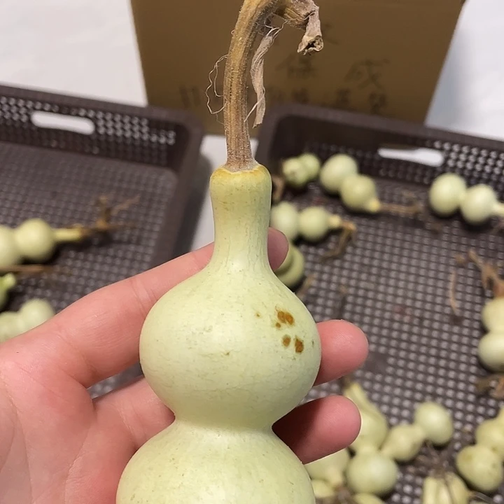熠***辉感谢大哥支持不保成