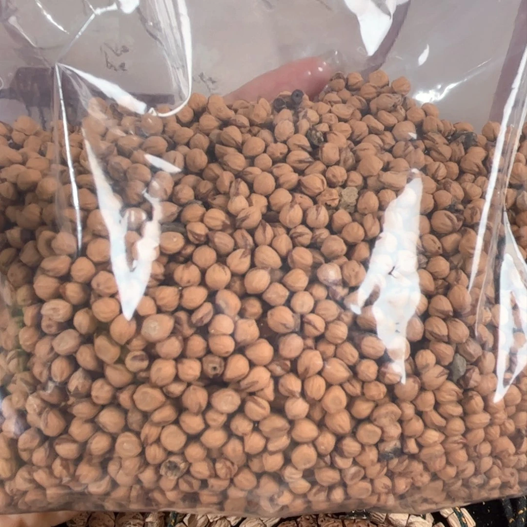 吊坠柏香籽/百香籽小金豆带红芽口21号