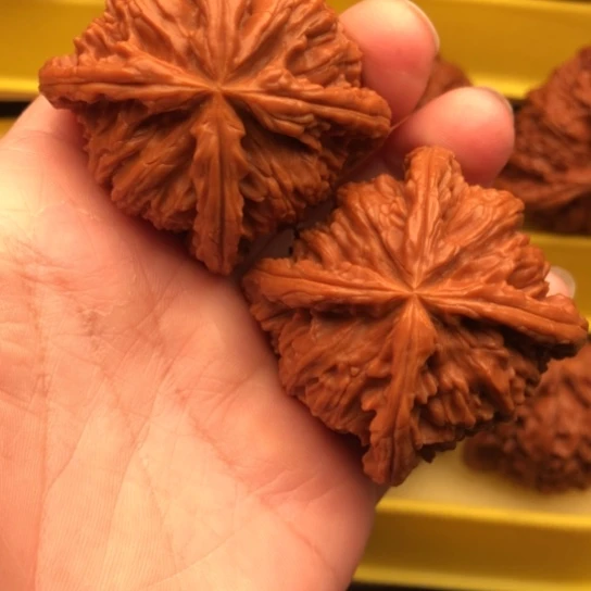 醒***毛核桃核桃核桃核桃核桃核桃
