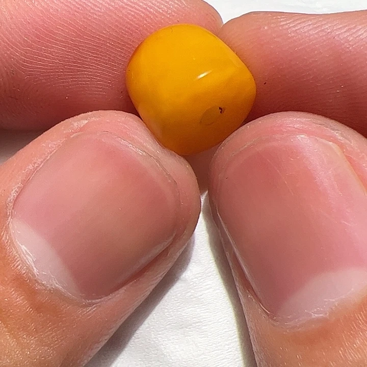 香榧木你是否也是