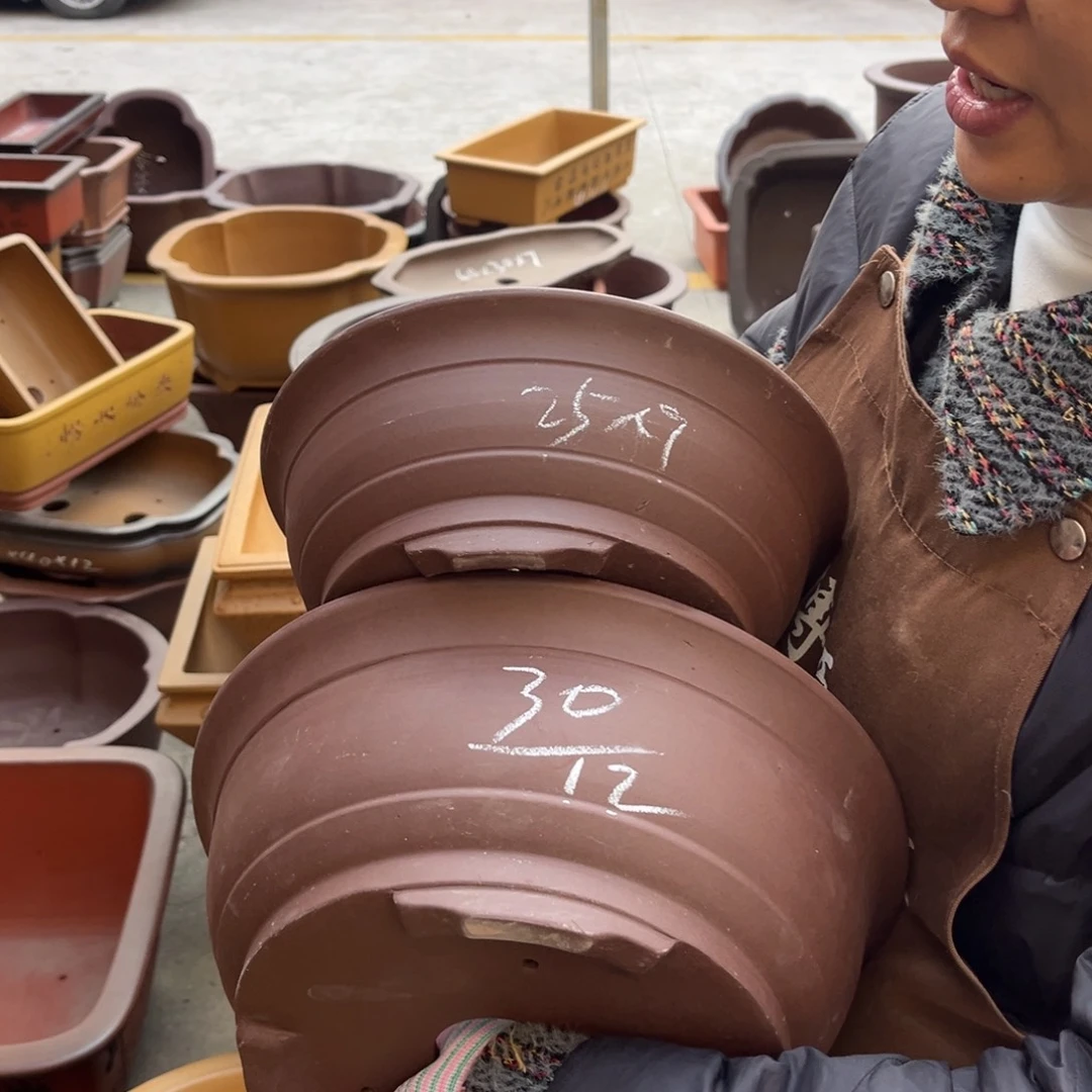 花盆紫砂盆景艺术