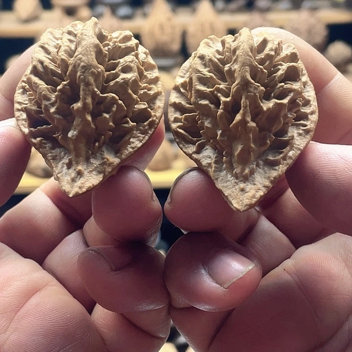 把件文玩核桃龙纹鸭嘴兽10