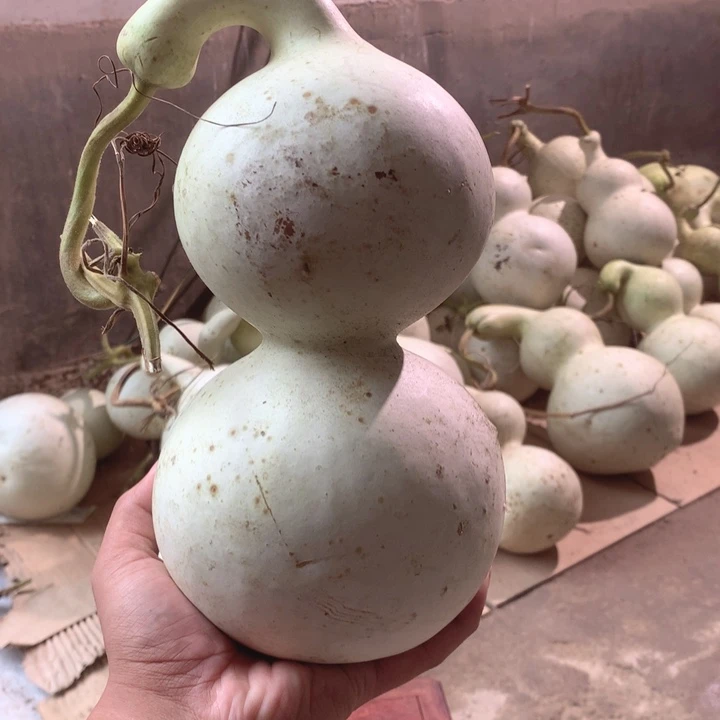 M***。中号现货供应充足