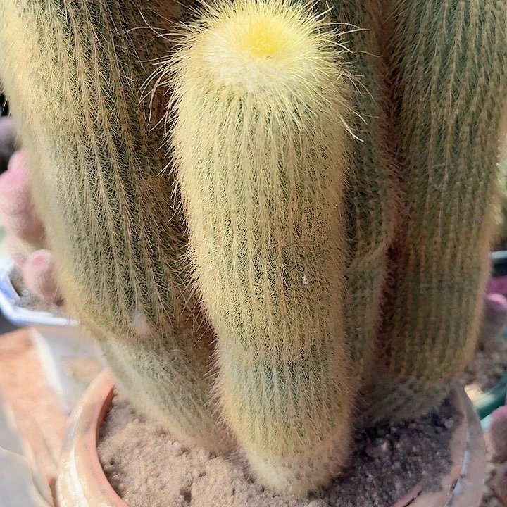 杨***杰哈哈哈哈哈哈哈哈哈哈哈