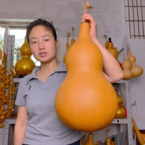 峰**客天然植物葫芦文玩