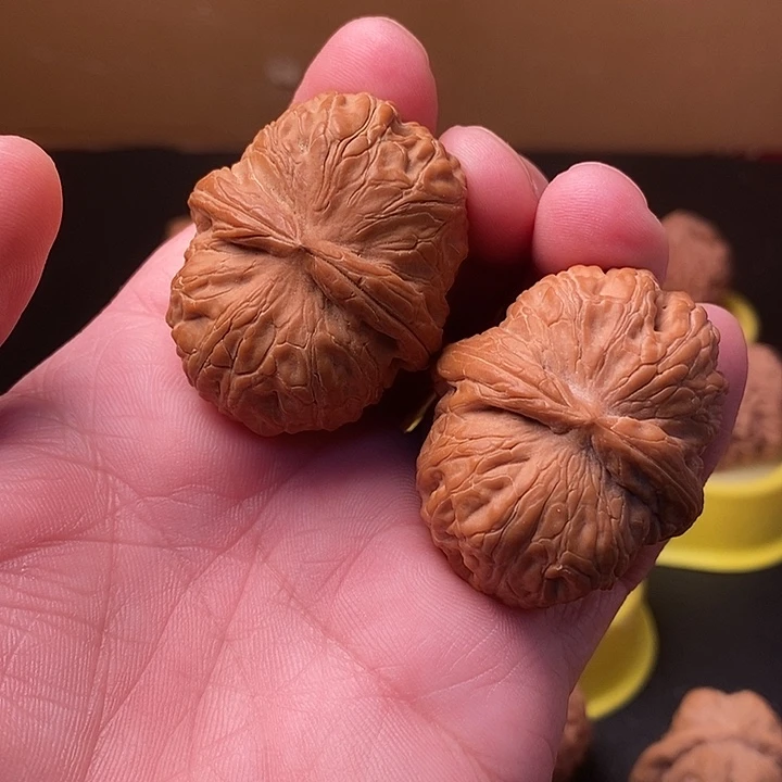 I***E大叶紫檀（黑酸枝木类）练手对