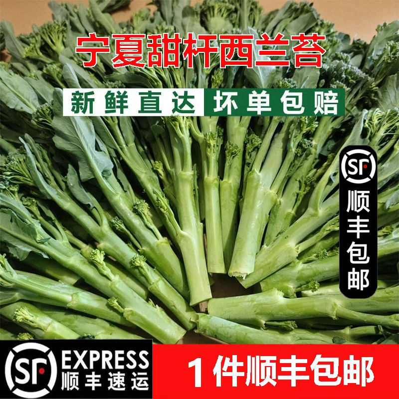 宁夏新鲜西兰苔甜杆西兰花苔长杆脆嫩时令蔬菜农家酒店食材