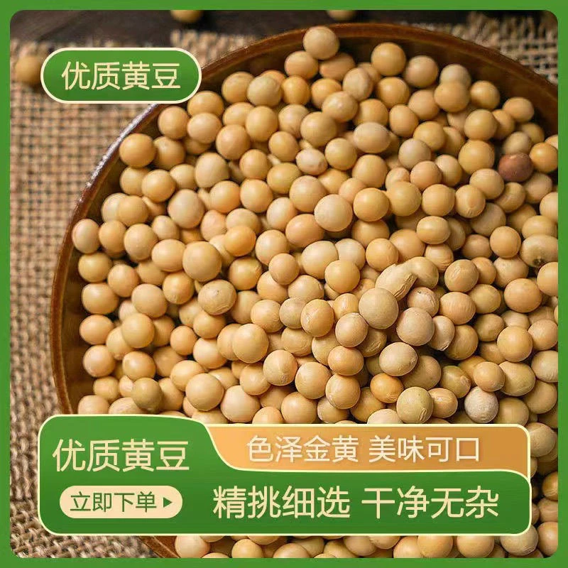 打豆浆豆黄豆东北农家自产黄豆新豆发芽生豆芽打豆浆专用大豆W