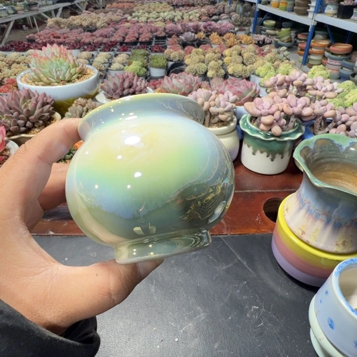 特价花盆满50发货 内口6