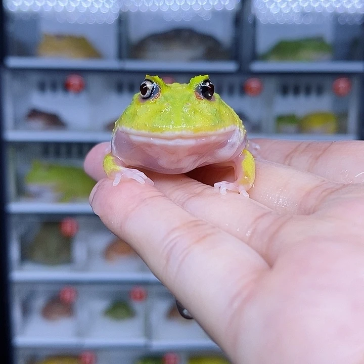 特价秒杀现货特价