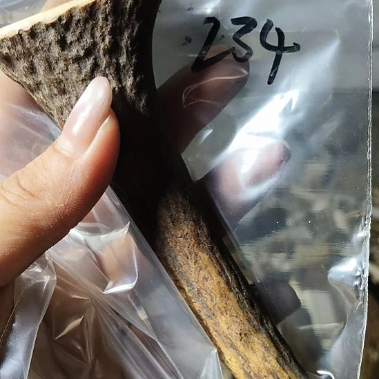 听***8非金属无鹿角鹿角鹿角