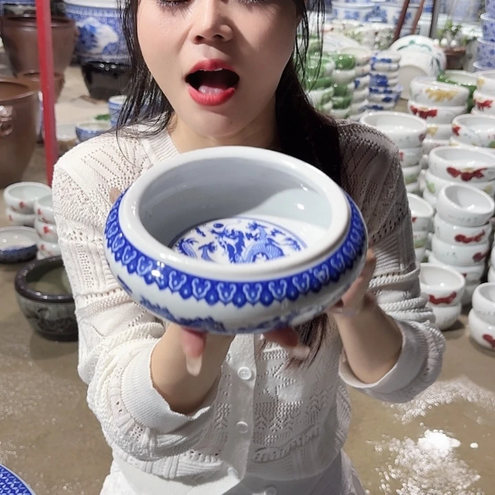 瓷片口径13厘米 高度6厘米