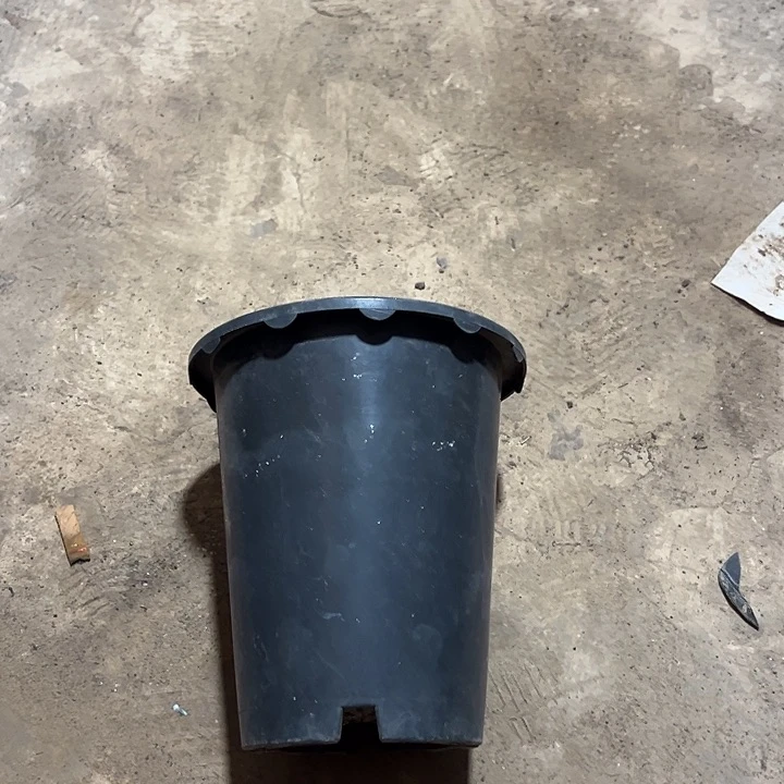 兰花盆口径17.5高19发12个