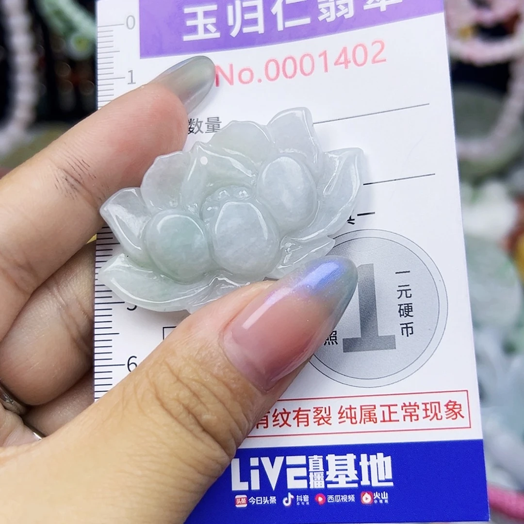 翡翠未镶嵌颈饰Qqqqqq