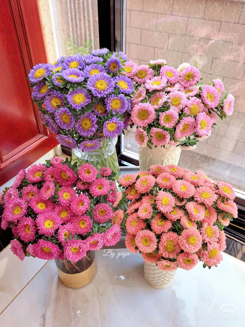 云南基地直采翠菊鲜切花包邮可冷链送货上门用于家居办公装饰