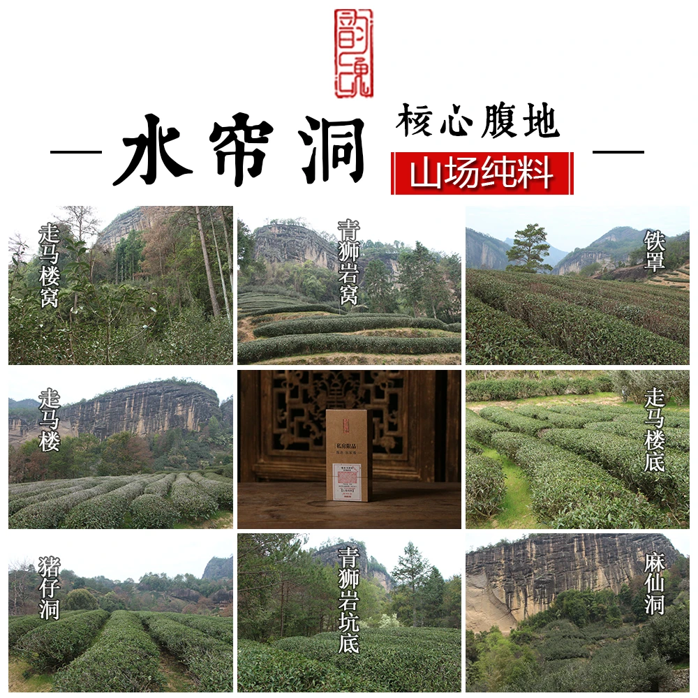 山场纯料 水帘洞核心产区 青狮崖麻仙洞猪仔洞顶肉桂老枞水仙奇种