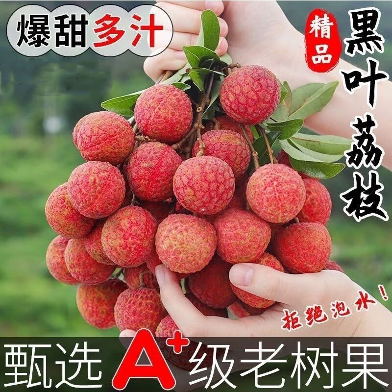 福建黑叶荔枝新鲜黑叶现摘当季水果整箱发货