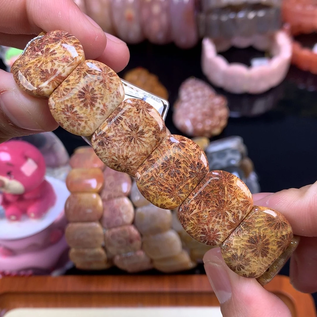 【闪购商品】颈饰未镶嵌硅化珊瑚（珊瑚玉）66号红彩大花