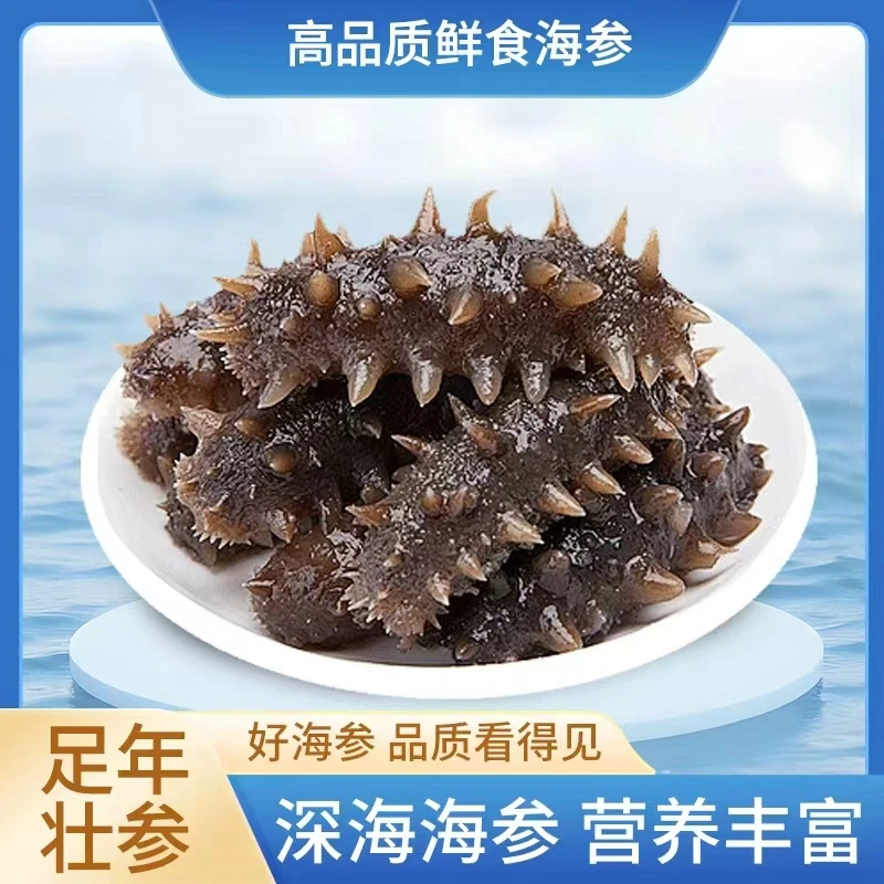 30根9公分上下左右大连即食海参现场称辽刺参无冰冷冻保存