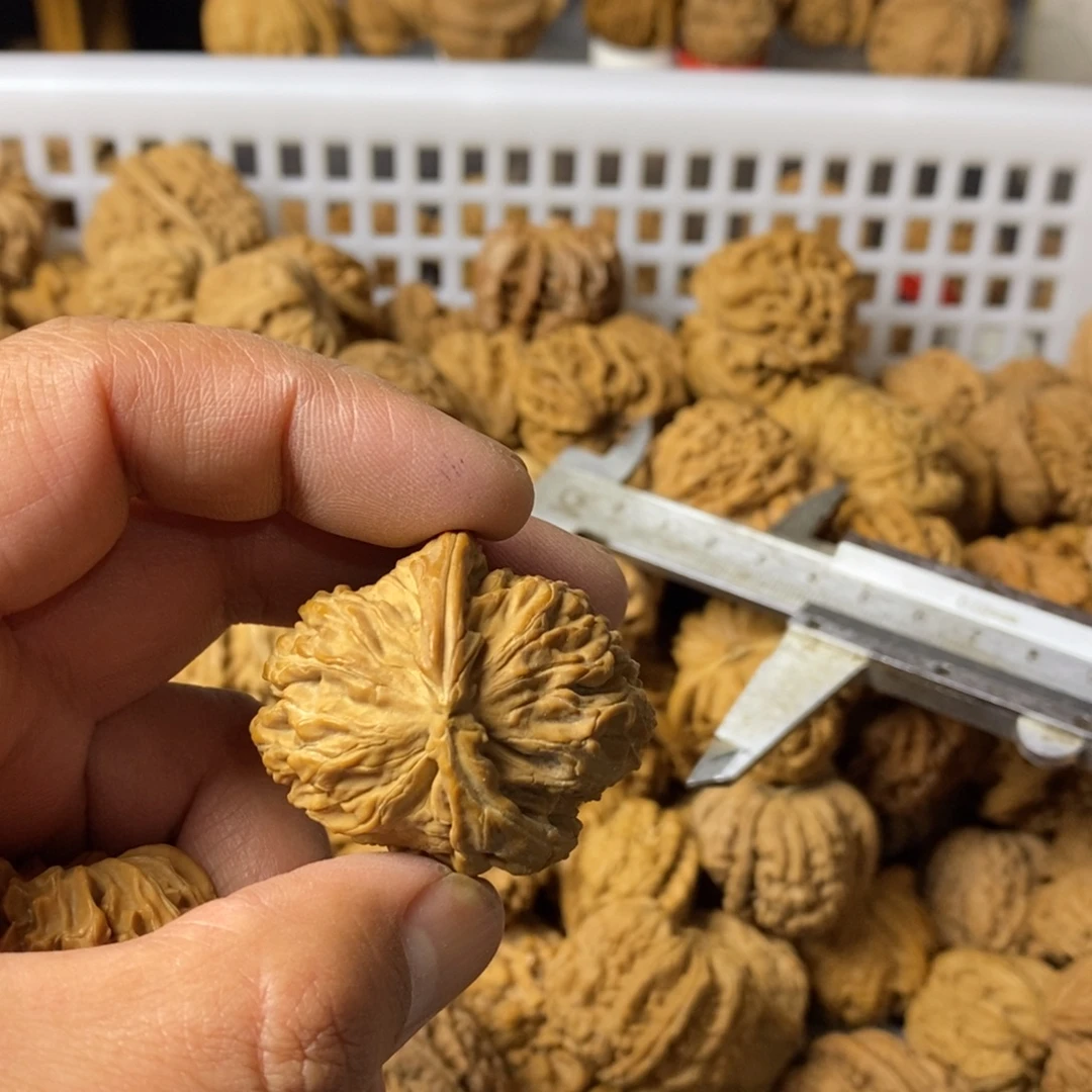 伊***袁大叶紫檀（黑酸枝木类）