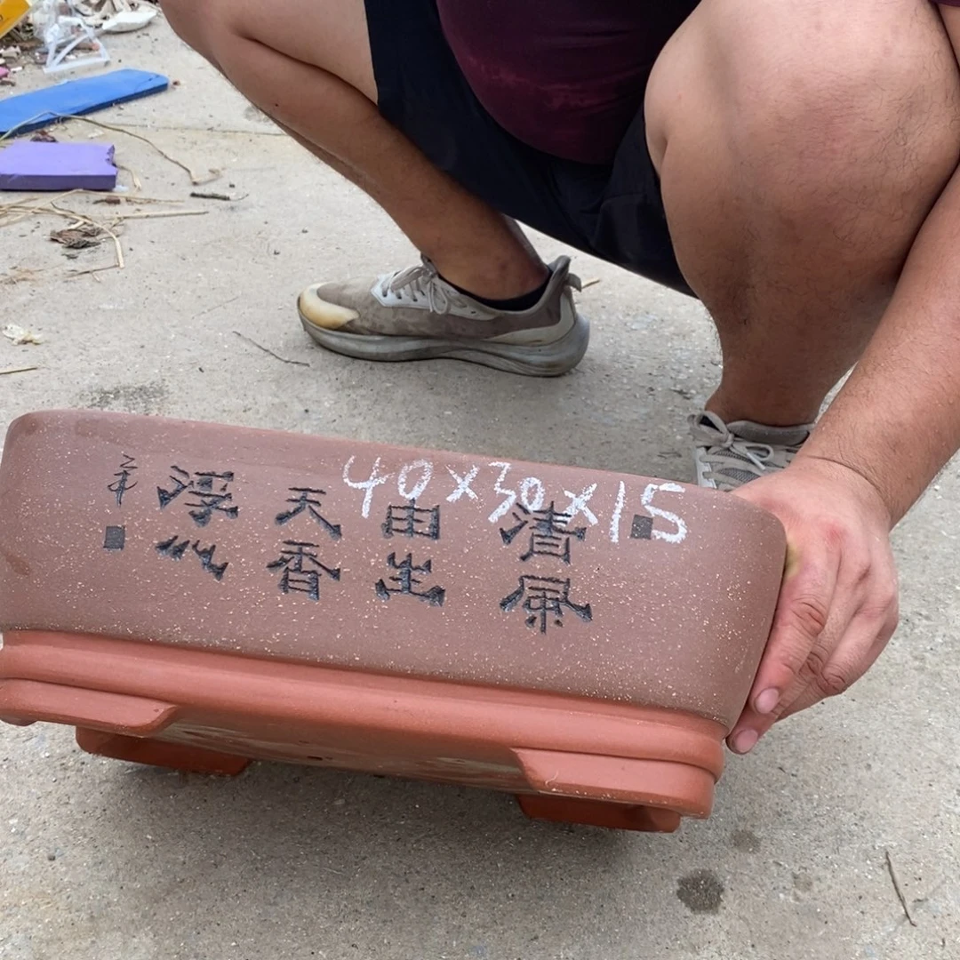 紫砂紫砂紫砂紫砂
