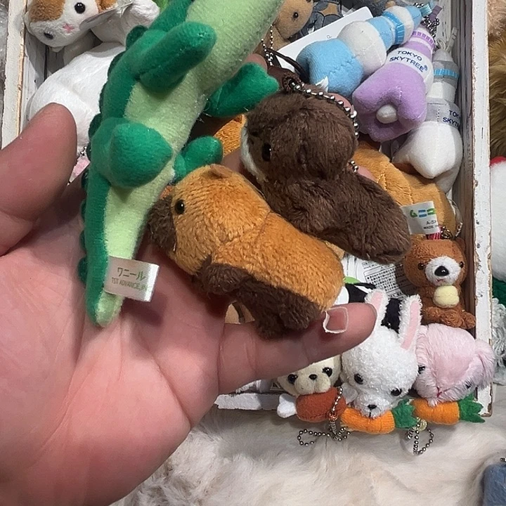 毛绒三只哈哈哈哈哈哈