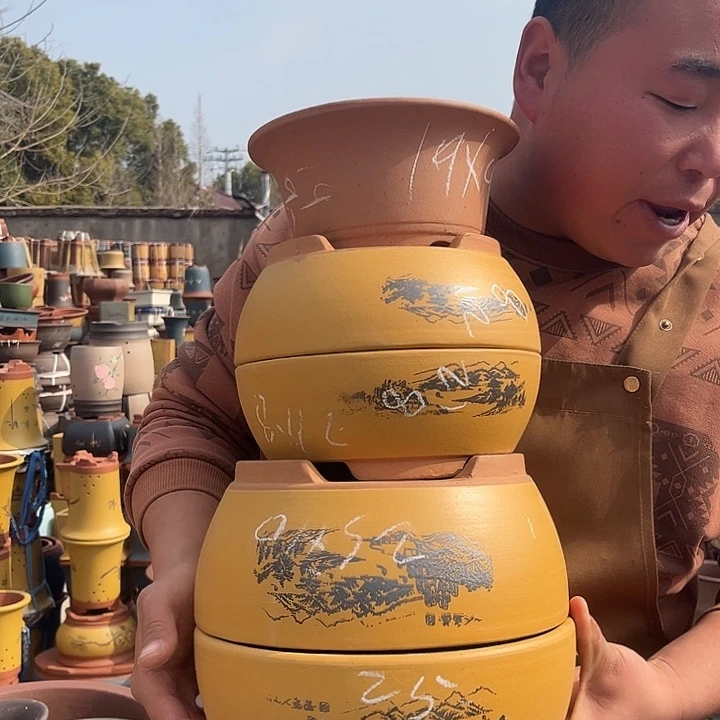 紫砂紫砂花盆盆栽