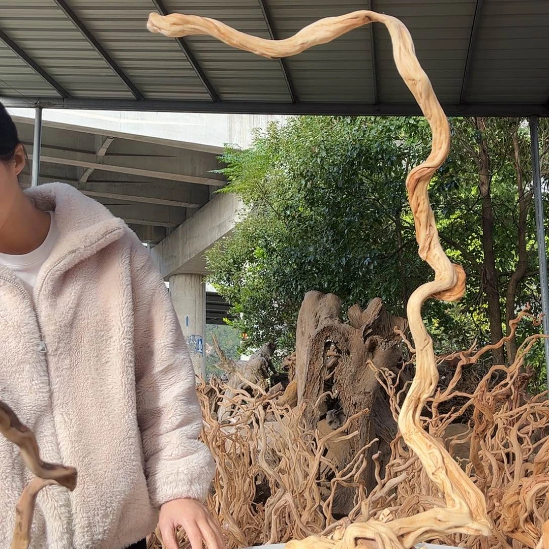 沸****木200积极积极计划经济了