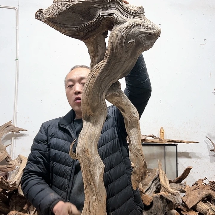 柏木华*我们的生活也是