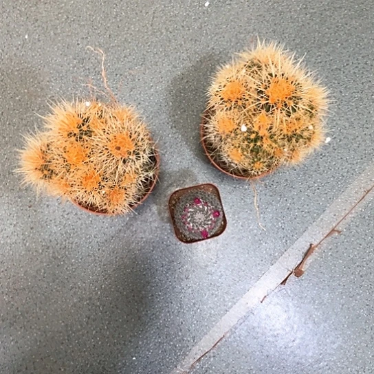 焦****店组合3个谢谢谢谢谢谢谢谢