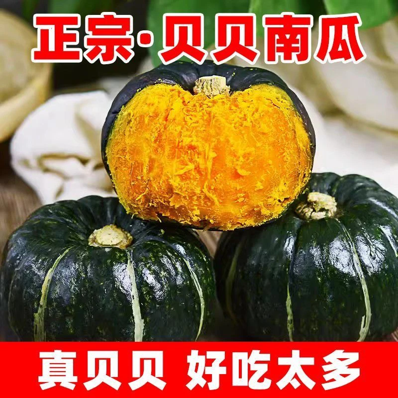 农家自种正宗贝贝南瓜粉糯香甜宝宝辅食板栗味老南瓜干面貝貝南瓜