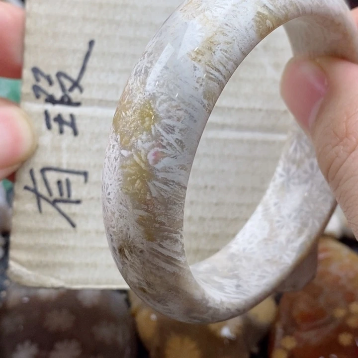 硅化珊瑚（珊瑚玉）颈饰未镶嵌珍*