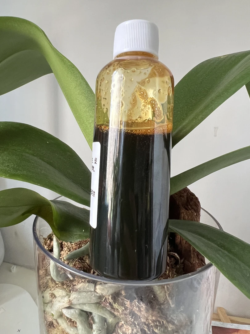 氨基酸水溶肥意大利进口