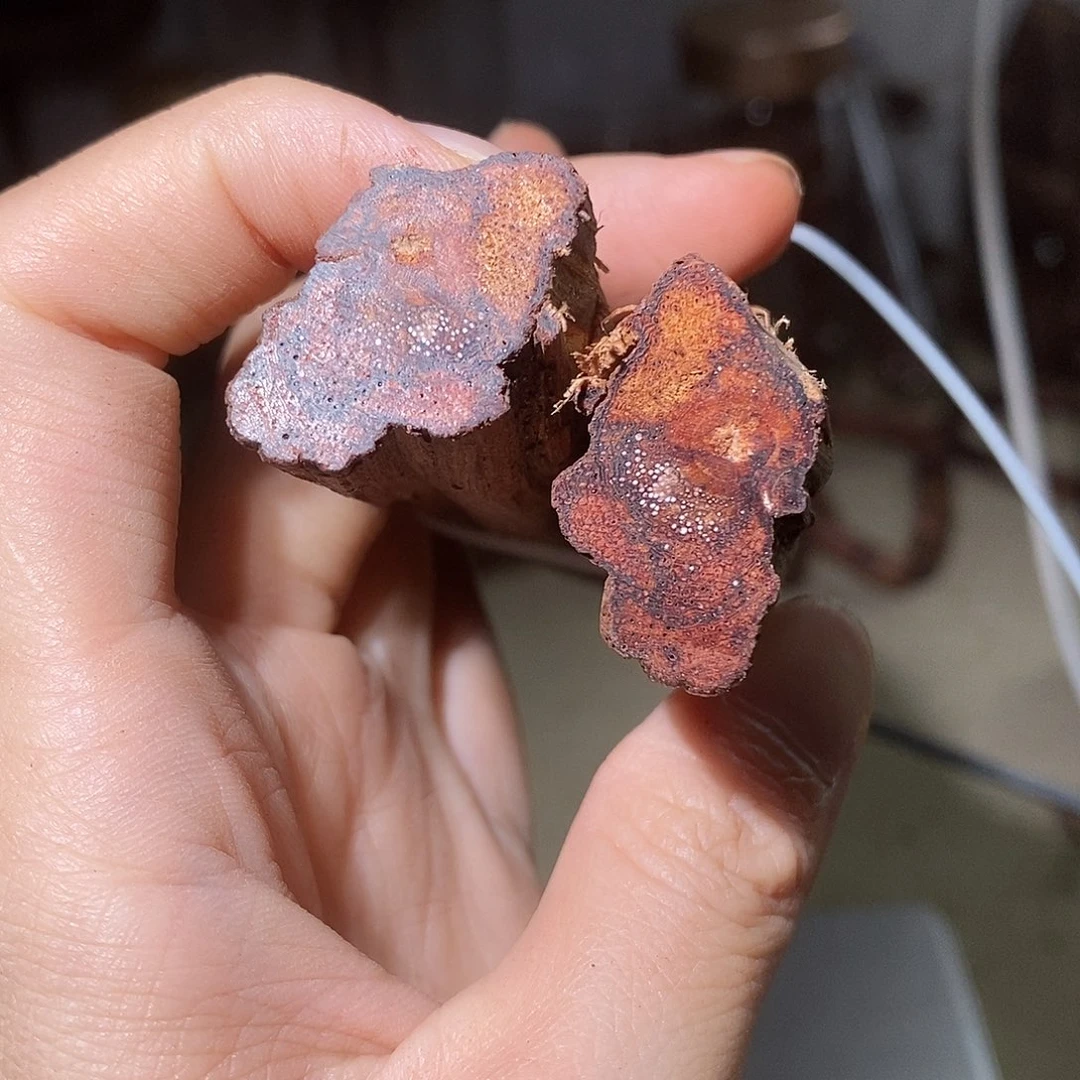 海南降真香大叶手把件
