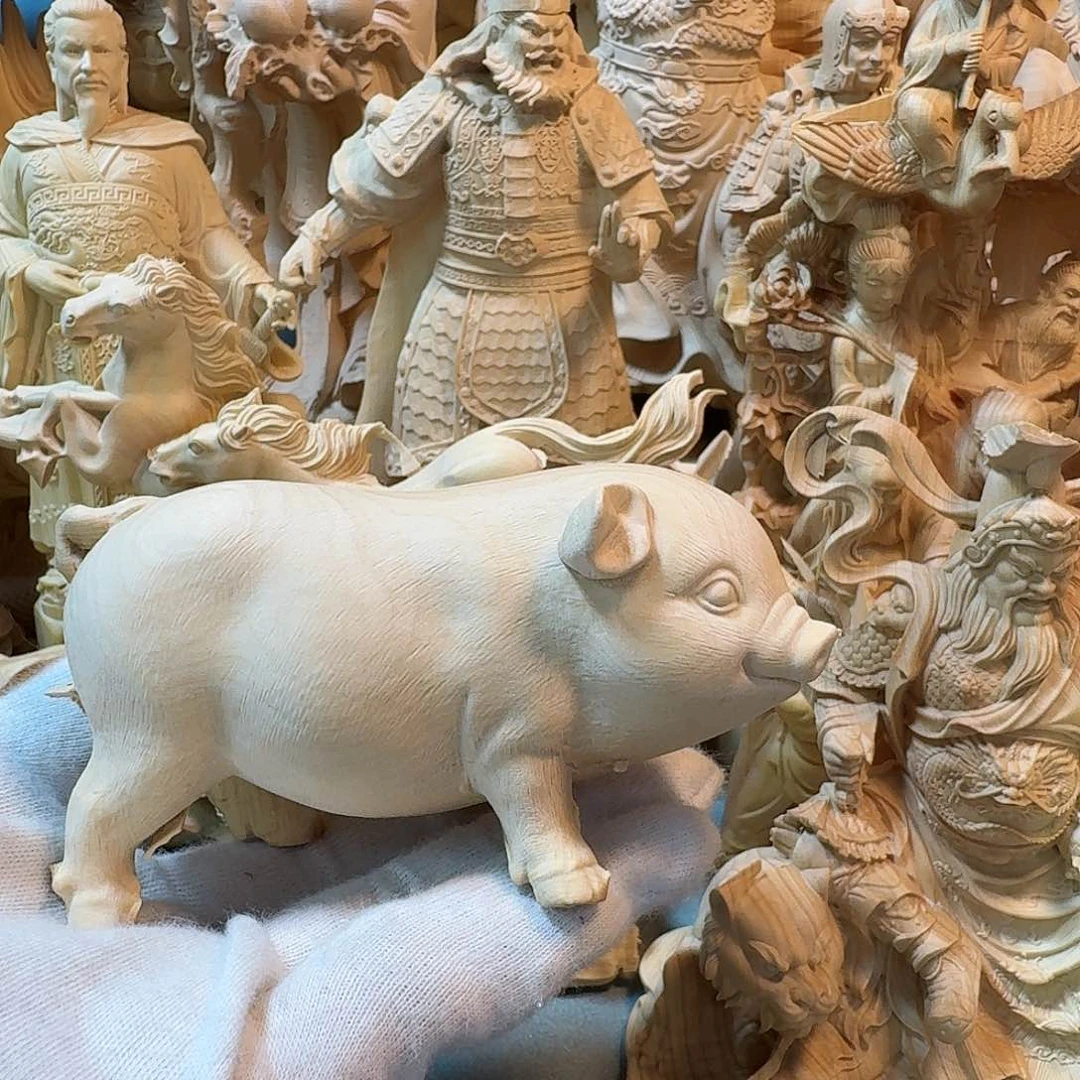 黄杨木简****8小叶黄杨术站猪1 0公分