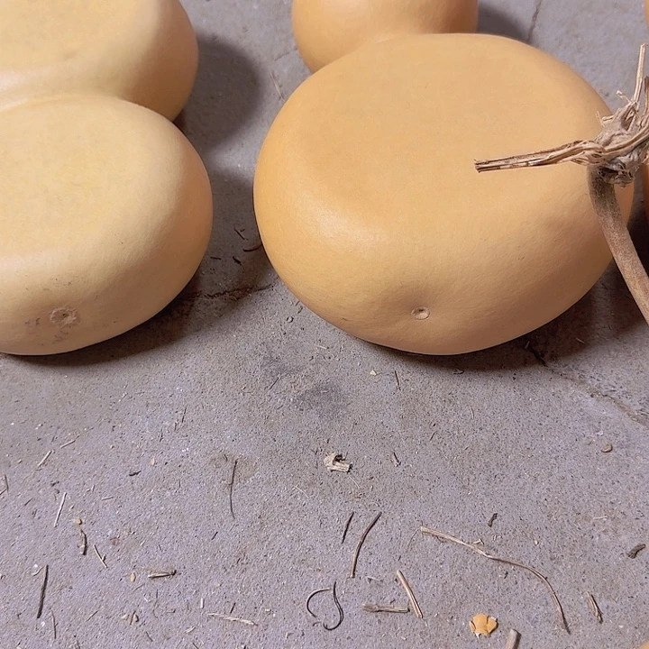 布***相对方也不会有太强欲望或其他情绪