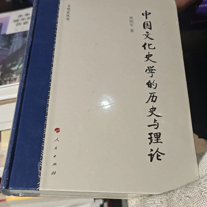 中国文化史学历史与理论精装塑封库存书
