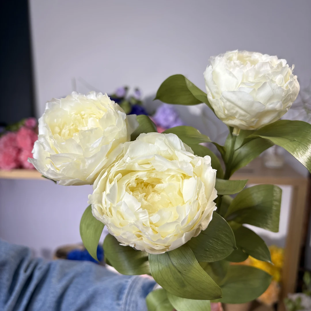 淡鹅黄色永生芍药花永生花花束花束多巴胺色系保鲜花真花永生花