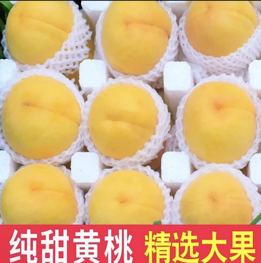 【四川黄桃】现摘现发 果园直达 5斤
