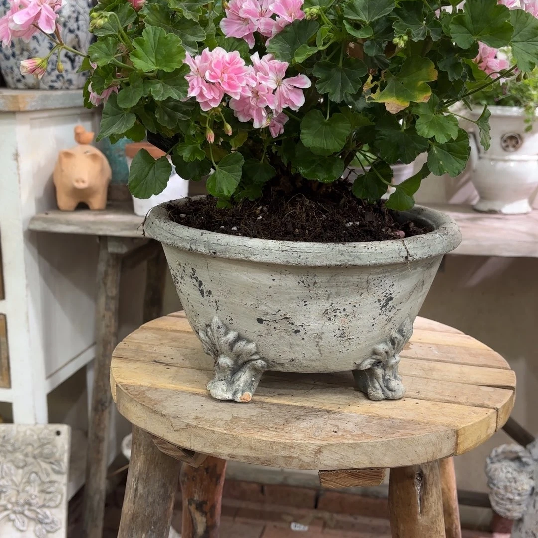 许纯的花房 四足 复古灰色