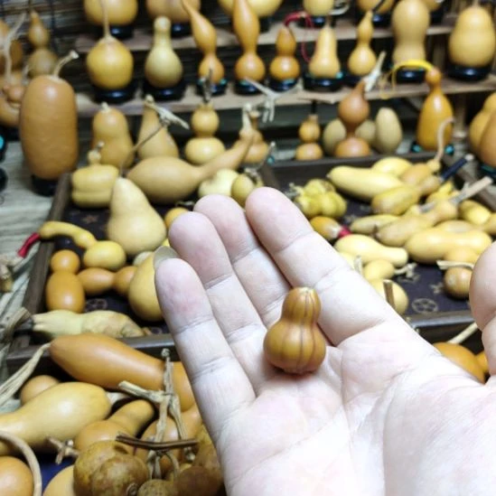 喜***丶木葫芦！！！！！！！！！！